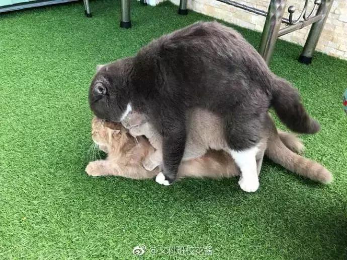 男子门口入室抢劫监控拍下全过程,小伙入室抢劫却遇到更可怕的东西