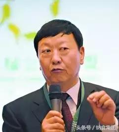 钟睒睒为诸暨做过哪些贡献,钟睒睒现在做什么