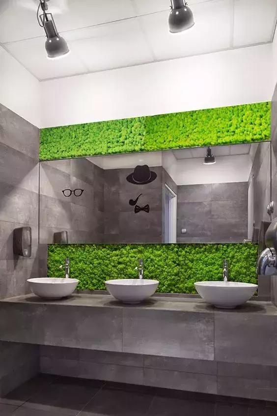 墙上种什么植物最好,景观墙上盆栽什么好看