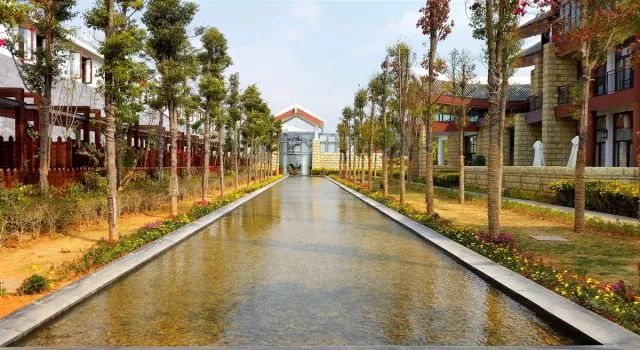 攀枝花市周边清凉避暑去哪里最好,夏季攀枝花旅游景点打卡推荐