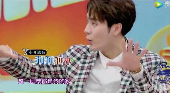 带有足球场的别墅,足球场别墅效果图