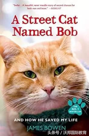 强势好书推荐,好看英文书推荐