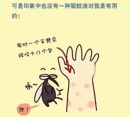 夏天蚊子驱蚊神器,有没有什么好的驱蚊器