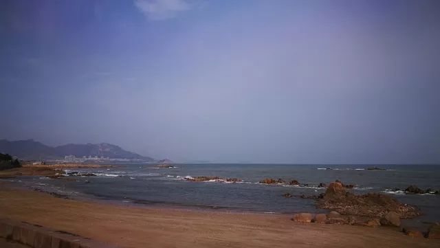 一斤卖到2000元！只有20块钱的他，靠什么逆袭出千万财富？