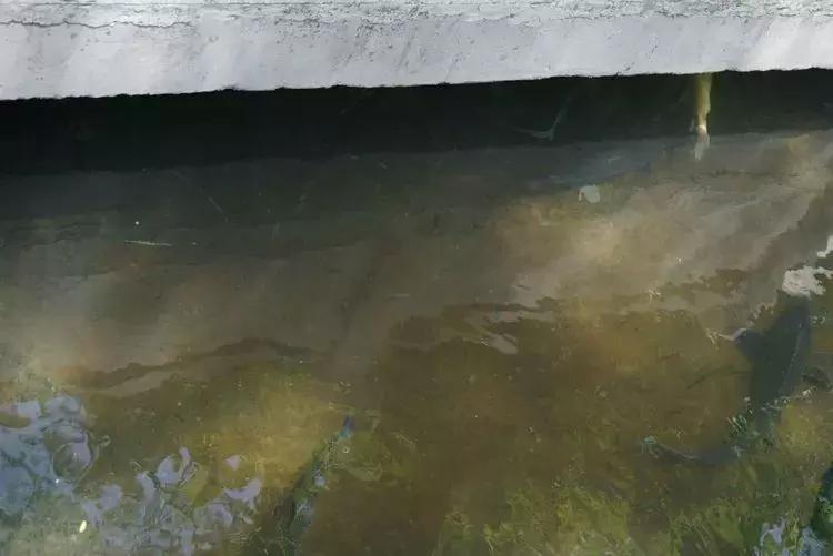 淄博淄川天晴湾户外唱歌,淄川龙泉天晴湾风景区