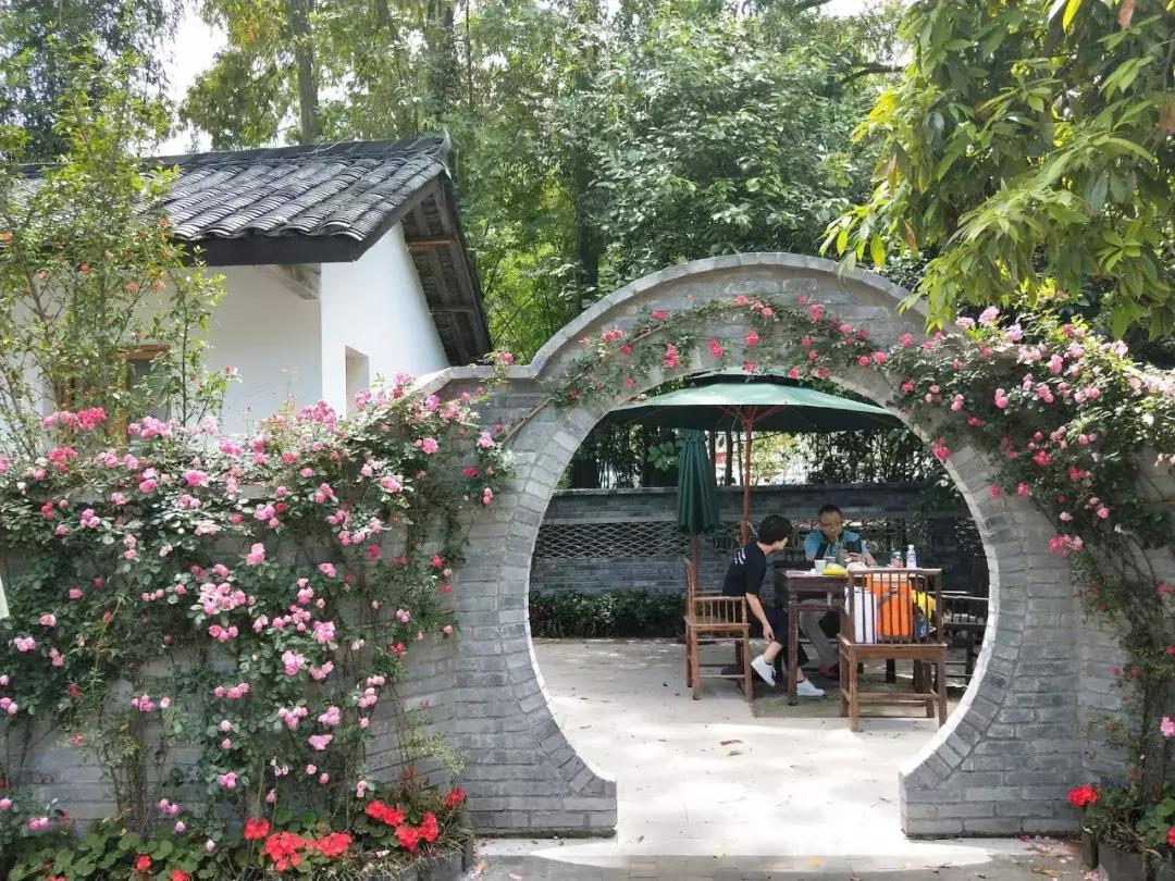 我去了成都向西50里的桃源村,朋友问我是不是去了日本?