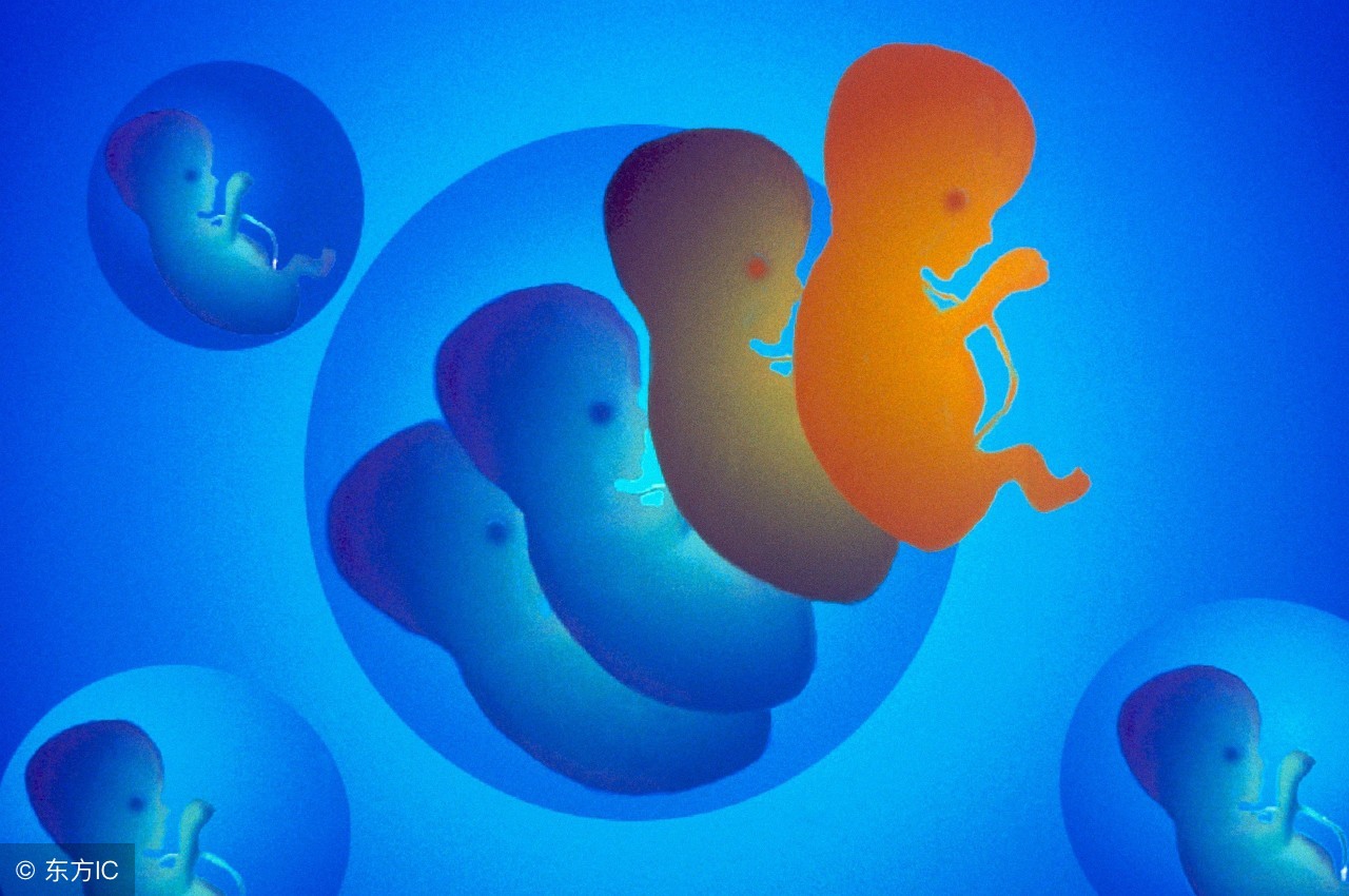 胎停育有没有危险,意外怀孕后怎么预防胎停育