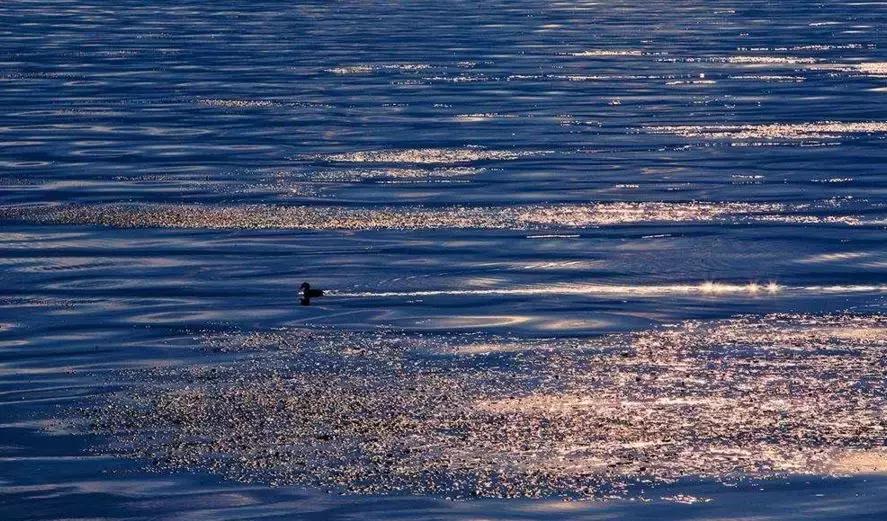 大理每个季节都很美,在大理每天都是那么的美好