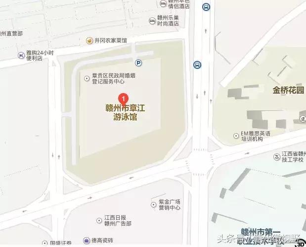 偶像来了刘嘉玲孙杨张继科,好朋友叫傅园慧去约宁泽涛完整版