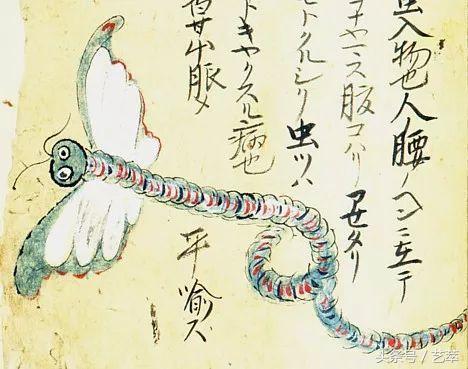 四百年前，日本人给寄生虫画了套漫画？！｜艺术画册