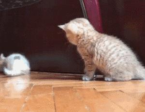 史上最强户外防晒,最强防晒单品