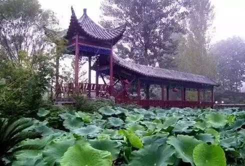 郑州有什么好玩的地方免费开放,郑州好玩的免费景点