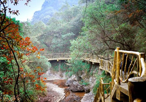 福建儿时的记忆山上的野果,福建山上秋天野果