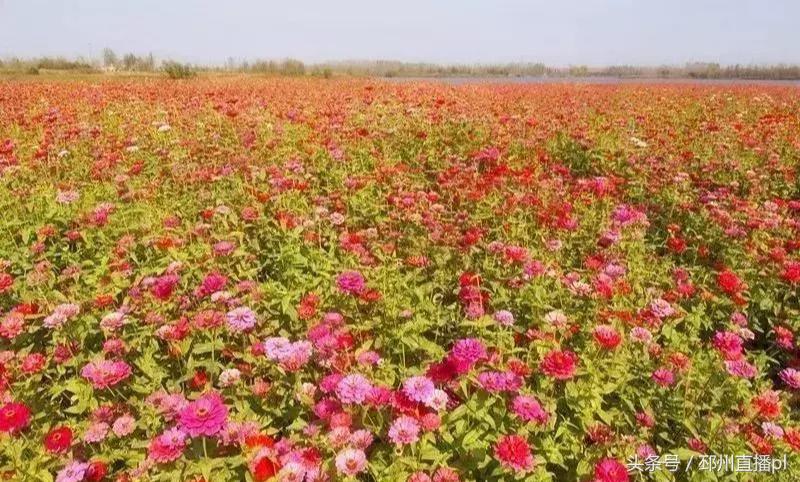 邳州福利,重大福利