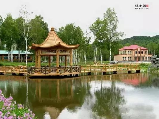 黑龙江好消息在哪里看,外交部黑龙江全球推介活动