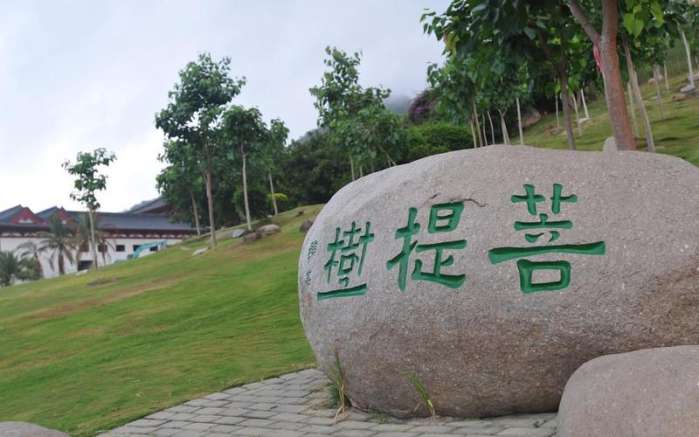 小妮子三亚,小妮子海南三亚