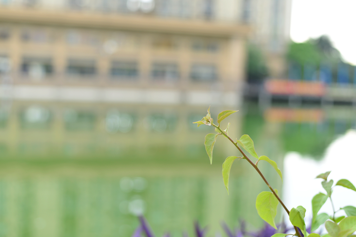 酷派cool2新品,酷派cool2手机防水