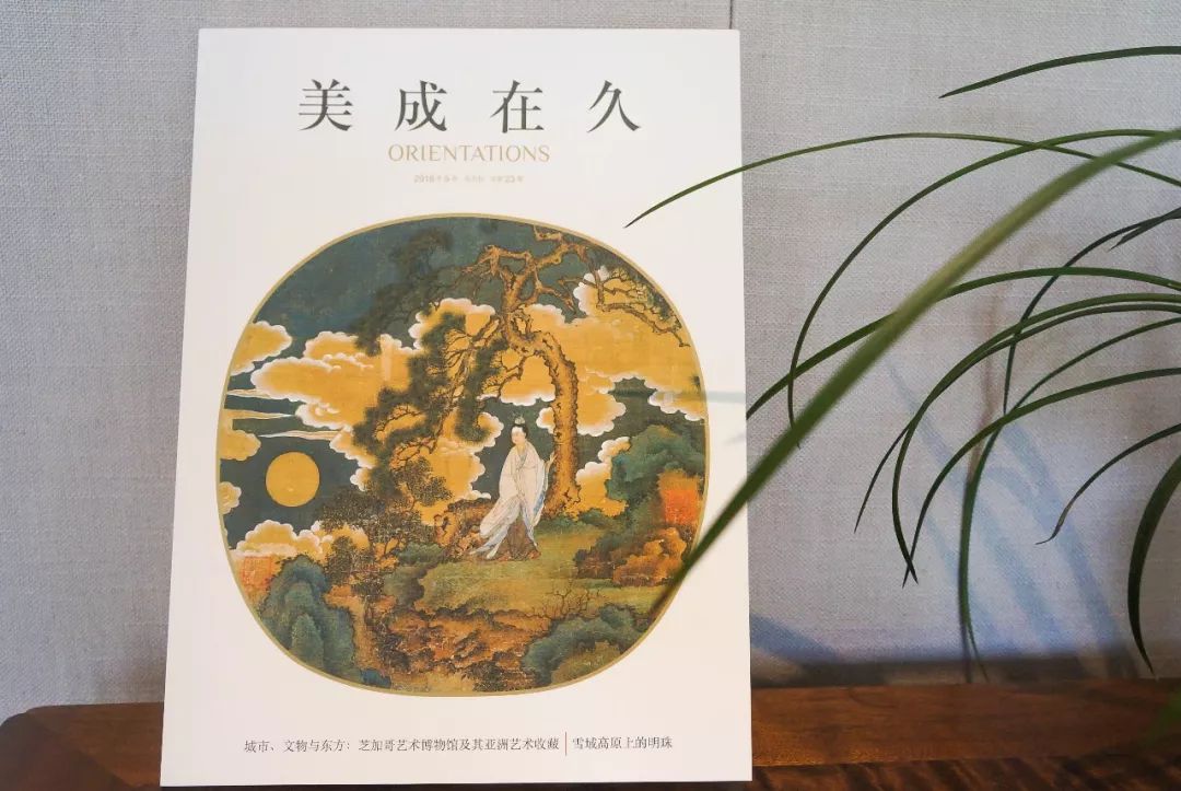 世界杯美女看比赛,世界杯美女足球秀