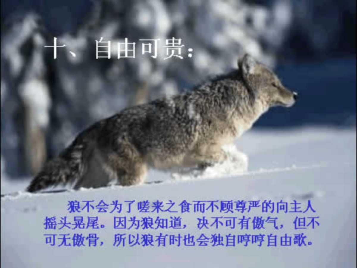 企业团队凝聚力培训ppt,企业团队精神培训ppt