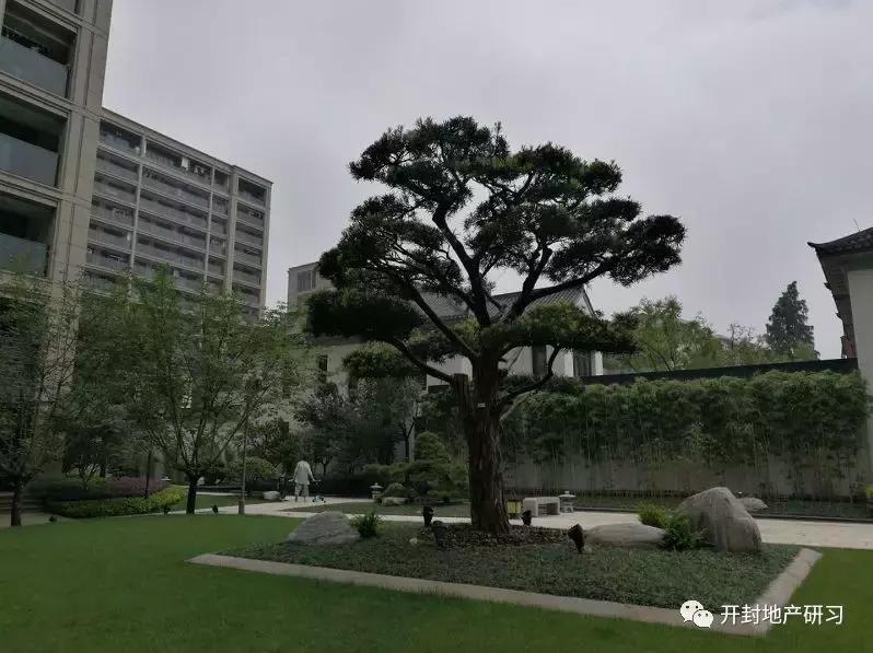 蓝城玫瑰园对比蓝城诚园,开封蓝城诚园优劣分析