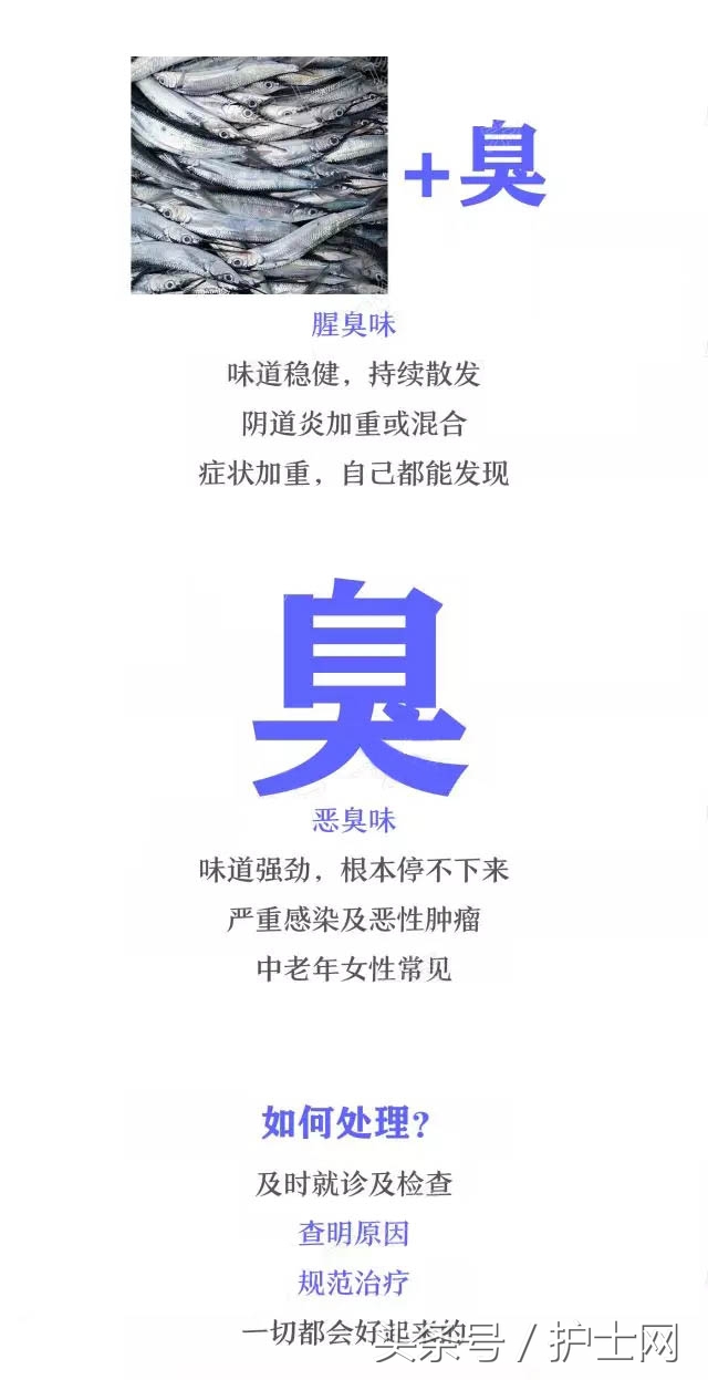 姑娘,你下面有味儿……