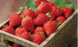 亚星生活,吕梁市亚星生活