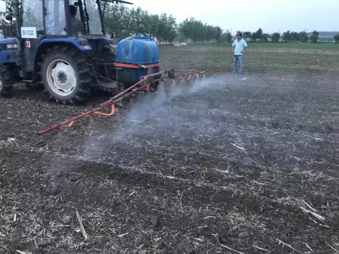 花生受到玉米除草剂药害怎样救,玉米除草剂药害叶子干了减产吗