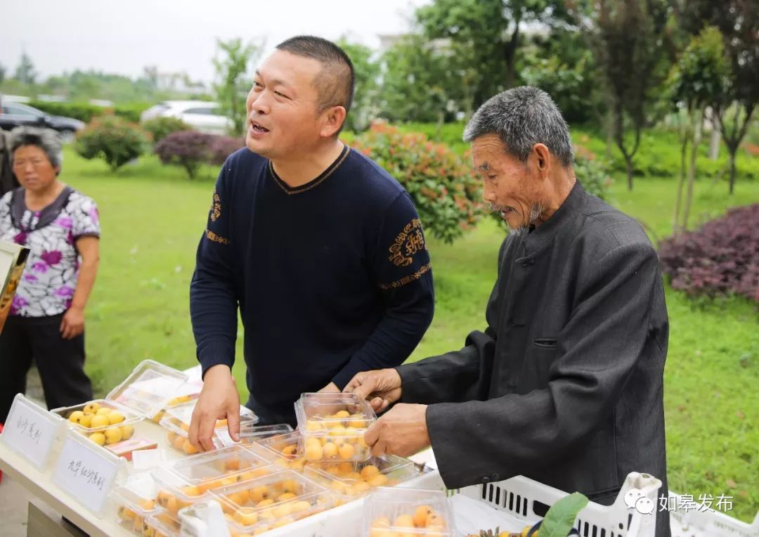 如皋这个地方种了一种神奇的树！树上会掉“金蛋”，“无涌”的人去“抢”！