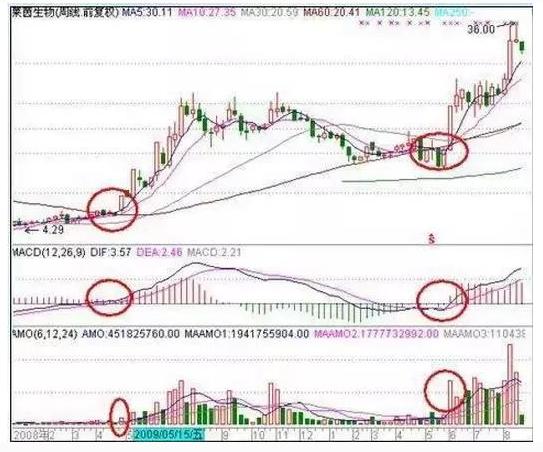 新股民选股入门与技巧书,周线选股胜率很高的方法