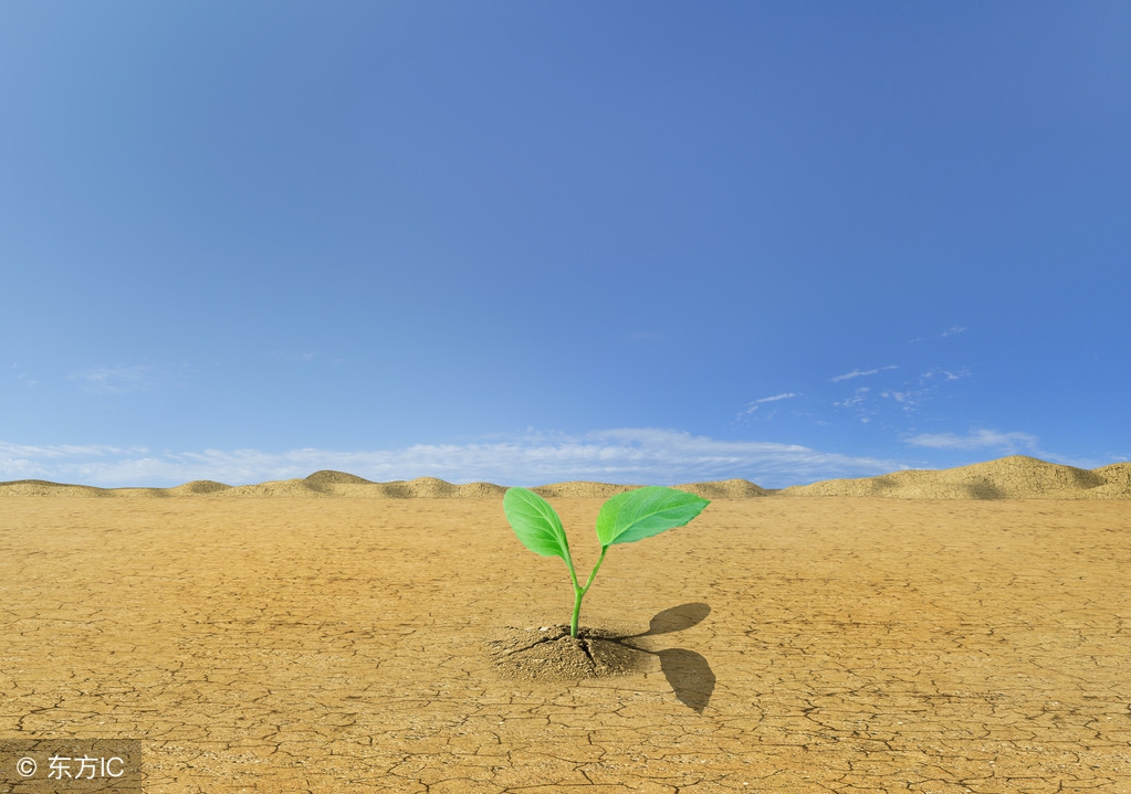 经历挫折才能提高认知,经历挫折的人为什么生命力更强