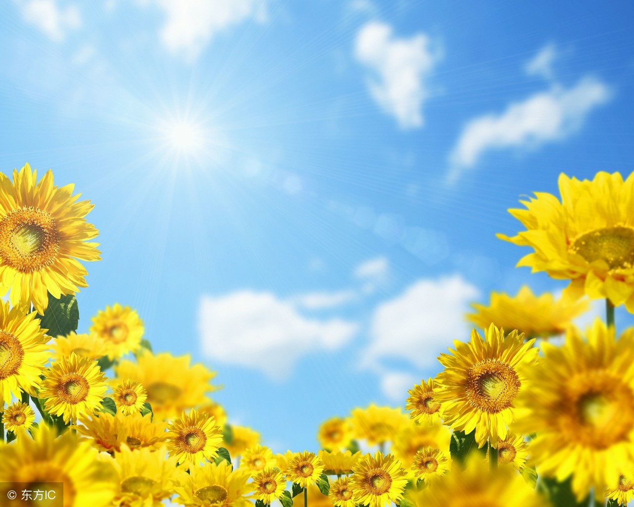 如果恋爱期间,你不理Ta、Ta就不理你,怎么去破解?