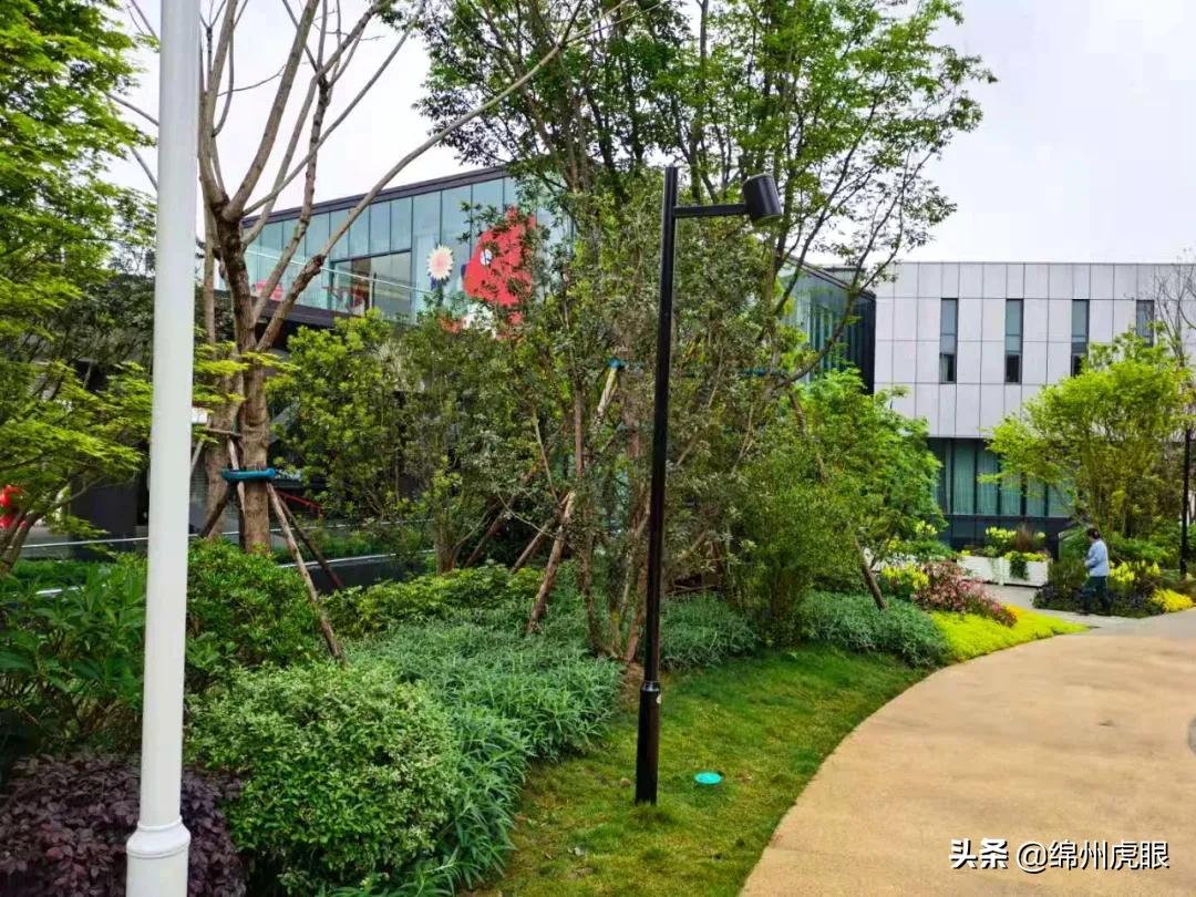 绵阳2021交房的高品质楼盘,绵阳各区域的高端楼盘