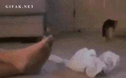 八旬老太脚趾溃破、发黑，皆因治脚气时用这个泡脚！