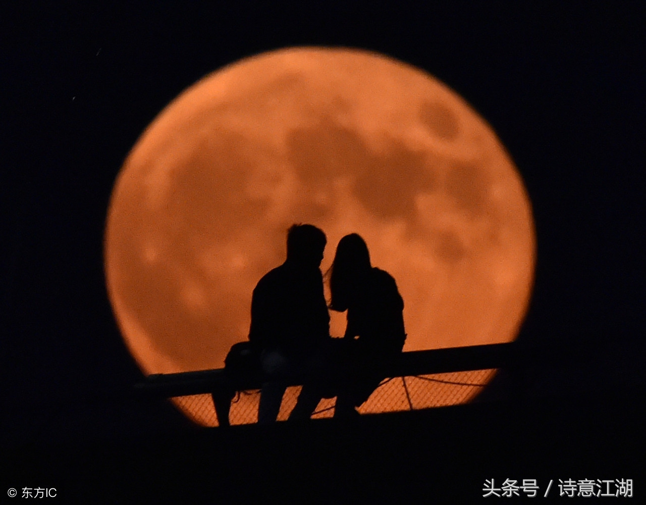 关于月亮的诗句和情感,跟月亮有关的诗句及表达的情感