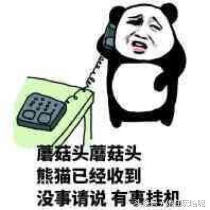 英雄联盟十大坑货,英雄联盟十大坑神