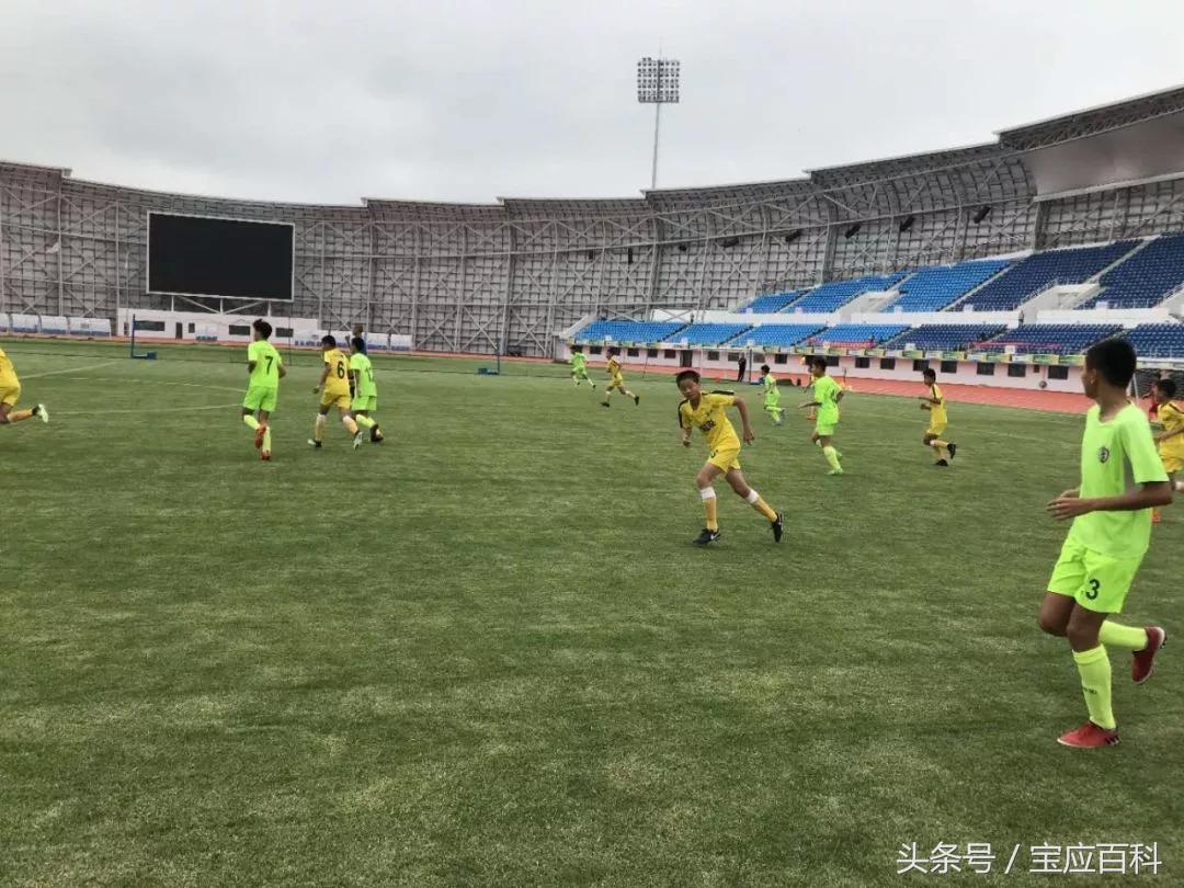 宝应鸟巢演唱会现场,鸟巢演唱会宝应