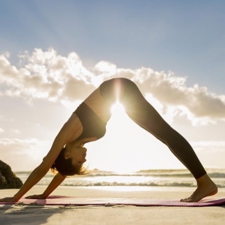 最适合瑜伽初学者练的50个体式,初学者瑜伽入门10个瑜伽体式做法