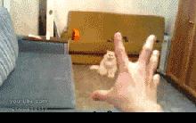 星球大战十大最差电影,今日影评猩球崛起