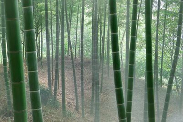 人生的真谛的小说,人生的真谛