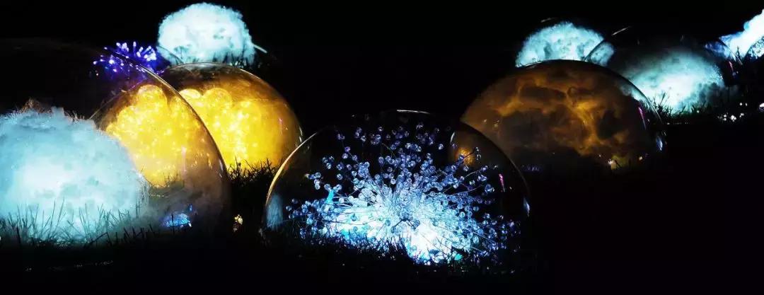 南艺你不知道的事,南艺的真实生活