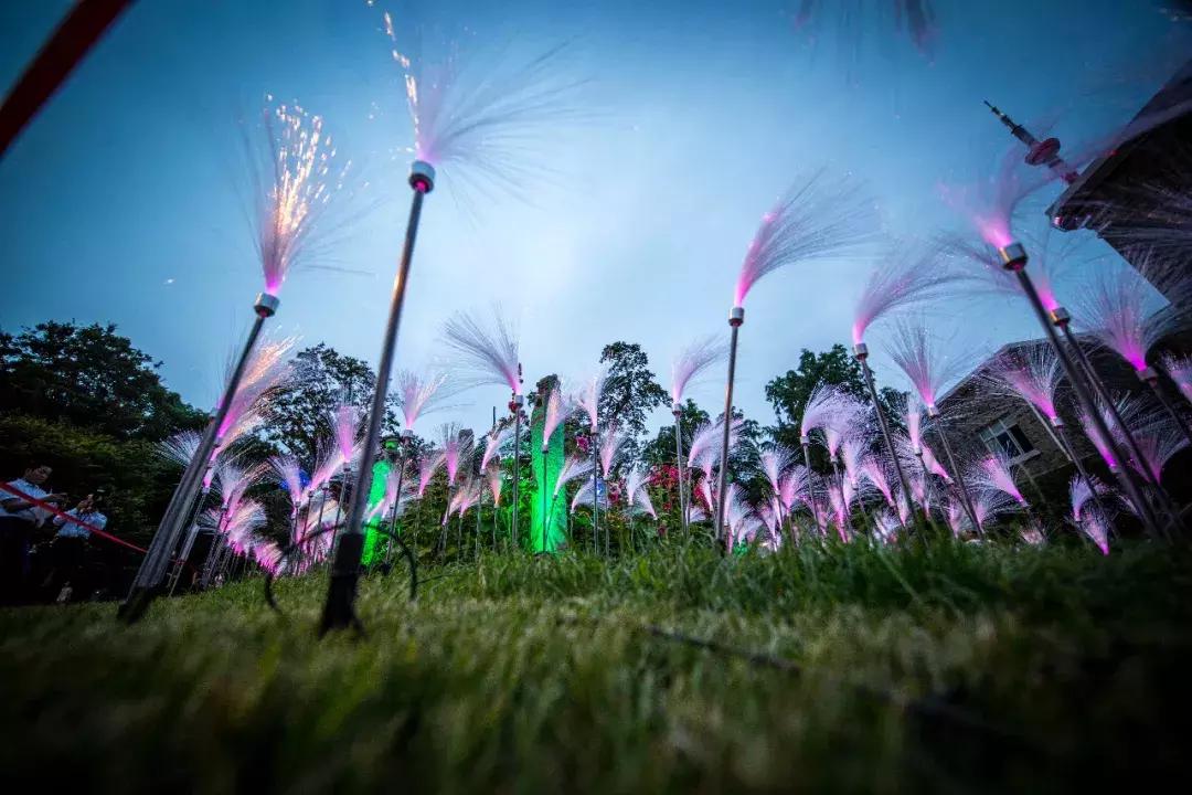 南艺爆料,南艺日常