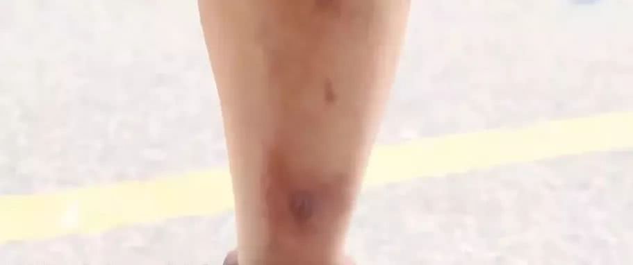 香港最美搬运工明星,香港版最美搬运工