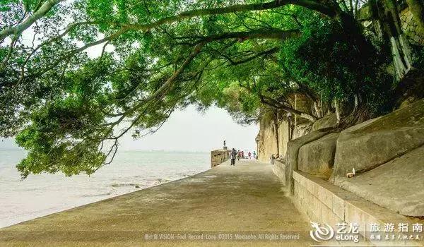 一份关于厦门的回忆,做了一场关于厦门的梦