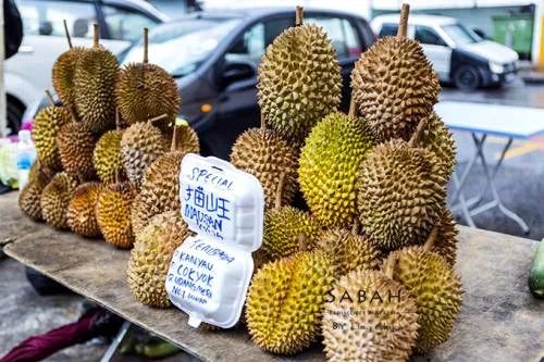 让人沉醉的沙巴,沙巴好地方