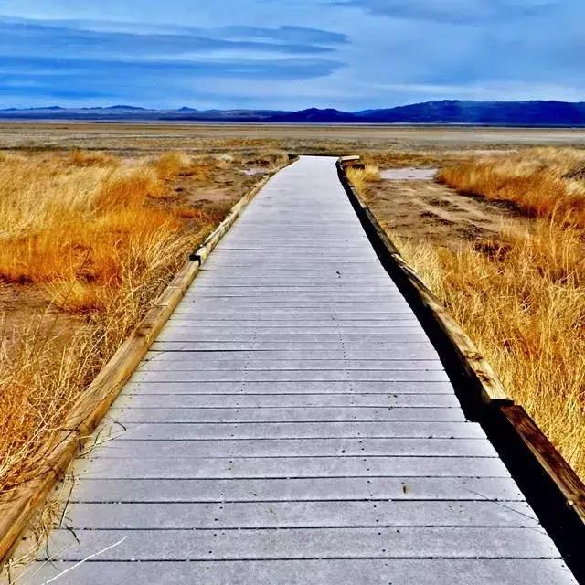 催眠到底有什么奥秘,揭开催眠奥秘