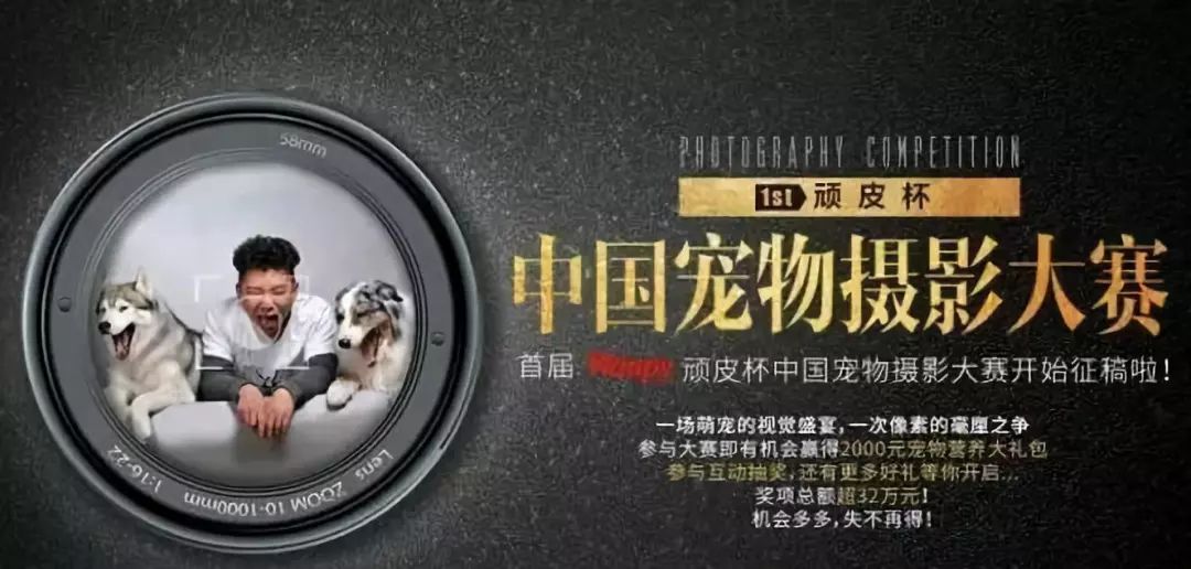 出口转内销狗粮,出口狗粮走什么贸易方式划算