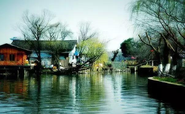 涵养是什么意思详细解释,涵养政治素养的能力有待提高