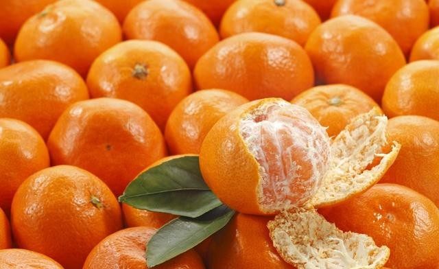 通过食物补充雌激素延缓卵巢早衰,女性雌激素高不宜吃什么食物