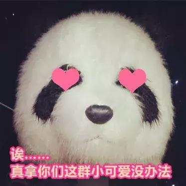 少儿频道儿童主持人片段,少儿频道主持人前辈采访