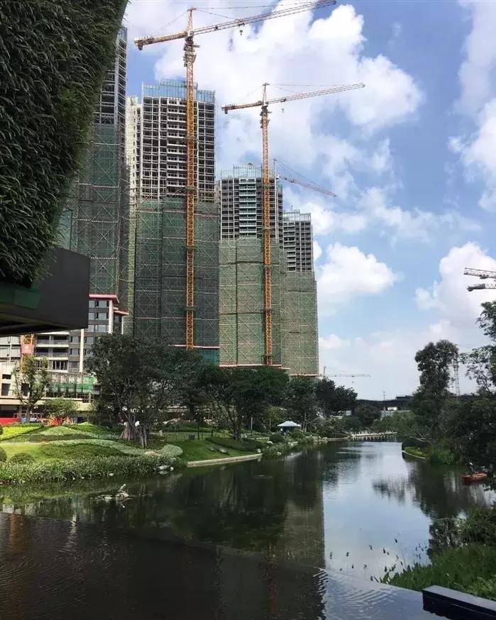 光明中心区旧改规划图,光明区碧眼旧村旧改的消息